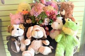Stuffed Animal